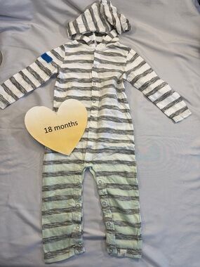 Burt's Bees Baby - Striped Hooded Footie in Grey and Green